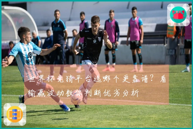 世界杯竞猜平台选哪个更靠谱?看输赢波动教你判断优劣分析