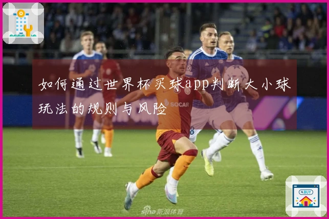如何通过世界杯买球app判断大小球玩法的规则与风险