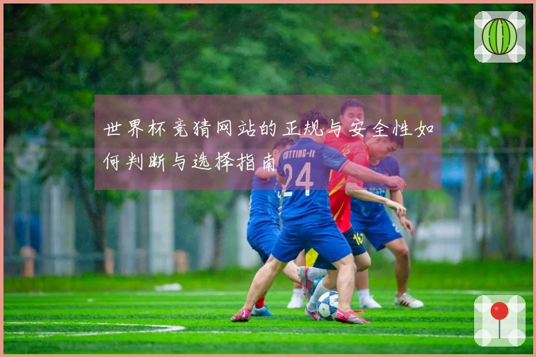 世界杯竞猜网站的正规与安全性如何判断与选择指南