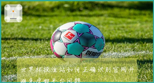 世界杯投注站如何正确识别官网并避免虚假平台问题