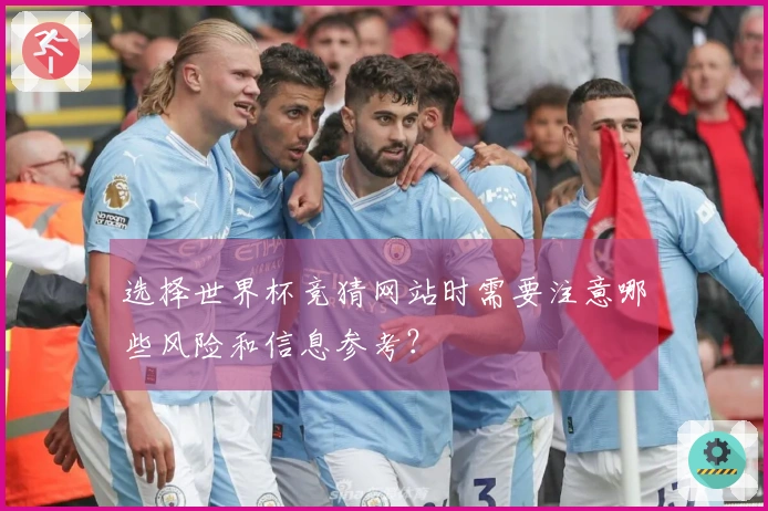 选择世界杯竞猜网站时需要注意哪些风险和信息参考？
