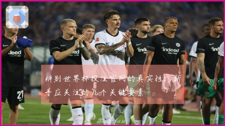辨别世界杯投注官网的真实性：新手应关注的几个关键要素