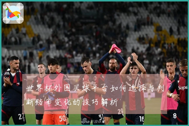 世界杯外围买球平台如何选择与判断赔率变化的技巧解析