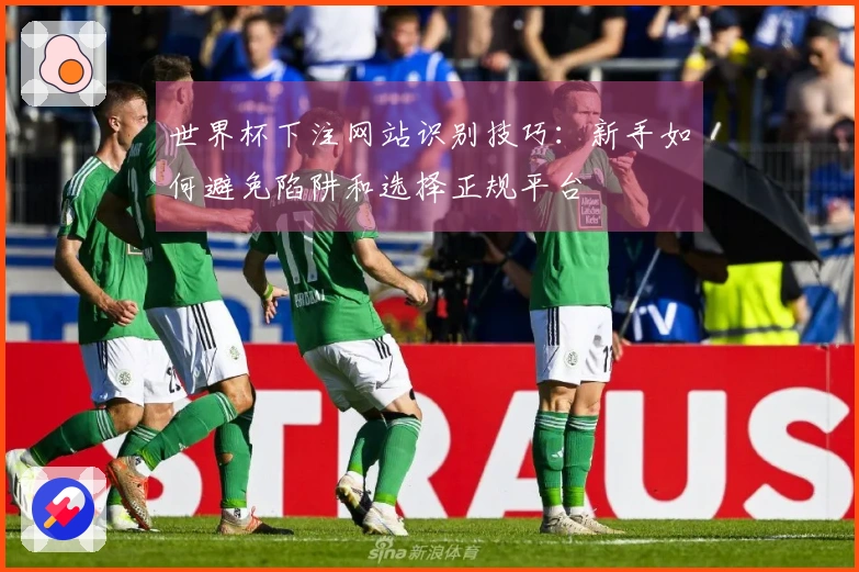 世界杯下注网站识别技巧：新手如何避免陷阱和选择正规平台