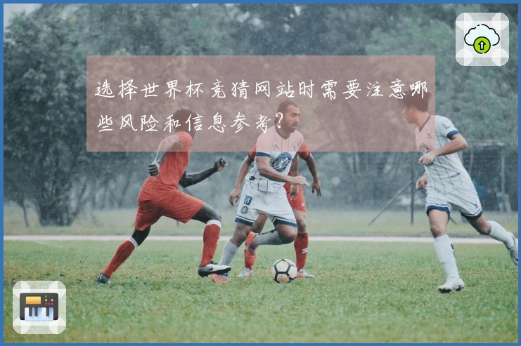 选择世界杯竞猜网站时需要注意哪些风险和信息参考？
