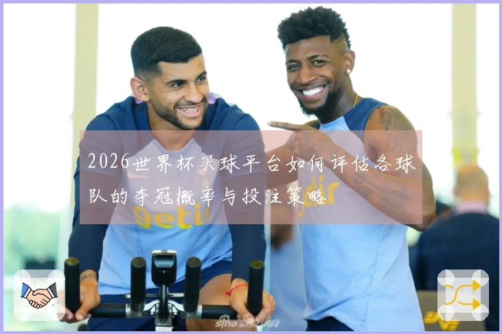 2026世界杯买球平台如何评估各球队的夺冠概率与投注策略