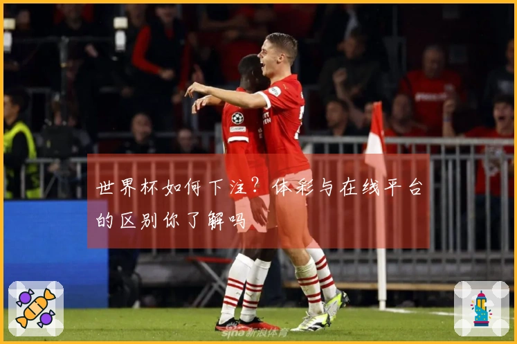 世界杯如何下注？体彩与在线平台的区别你了解吗
