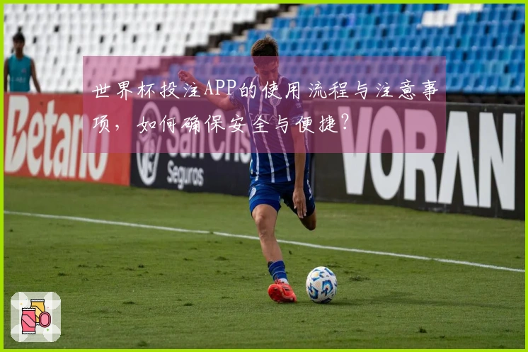 世界杯投注APP的使用流程与注意事项，如何确保安全与便捷？