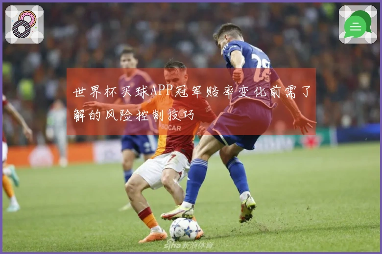 世界杯买球APP冠军赔率变化前需了解的风险控制技巧