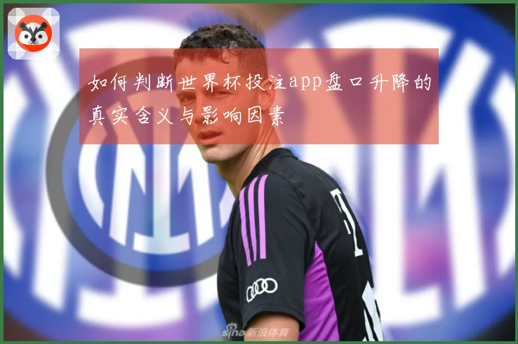 如何判断世界杯投注app盘口升降的真实含义与影响因素