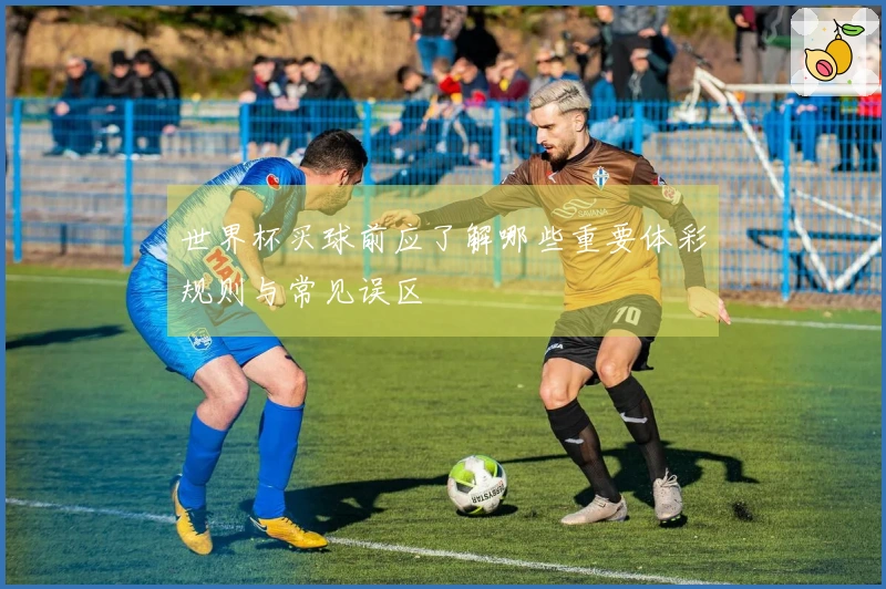 世界杯买球前应了解哪些重要体彩规则与常见误区