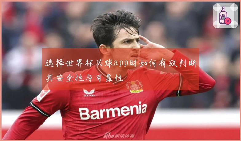 选择世界杯买球app时如何有效判断其安全性与可靠性