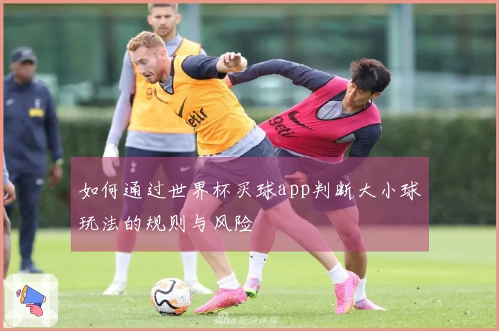 如何通过世界杯买球app判断大小球玩法的规则与风险