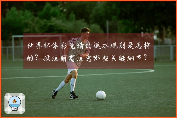 世界杯体彩竞猜的返水规则是怎样的？投注前需注意哪些关键细节？