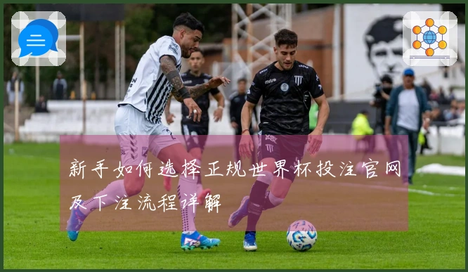 新手如何选择正规世界杯投注官网及下注流程详解