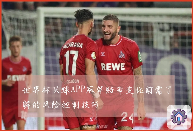 世界杯买球APP冠军赔率变化前需了解的风险控制技巧