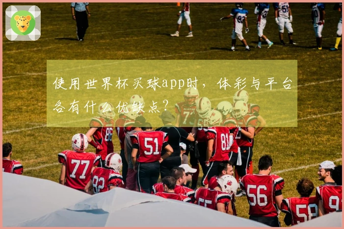 使用世界杯买球app时，体彩与平台各有什么优缺点？