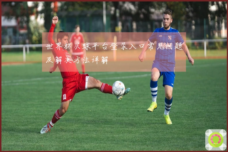 世界杯买球平台登录入口常见问题及解决方法详解
