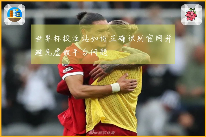 世界杯投注站如何正确识别官网并避免虚假平台问题