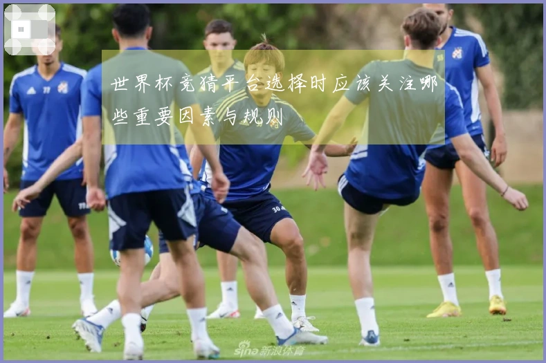 世界杯竞猜平台选择时应该关注哪些重要因素与规则