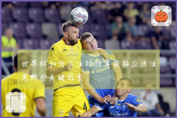 世界杯如何下注时预算安排应该注意哪些关键因素