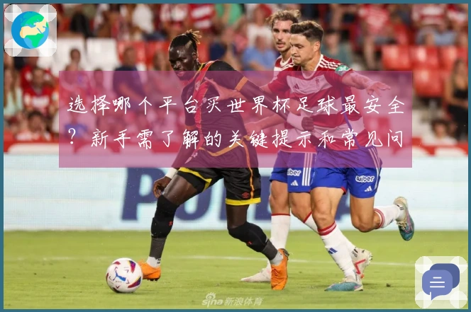 选择哪个平台买世界杯足球最安全？新手需了解的关键提示和常见问题解答