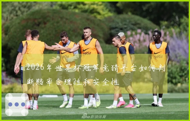 2026年世界杯冠军竞猜平台如何判断赔率合理性和安全性