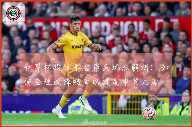世界杯投注平台串关玩法解析：如何合理选择赔率以提高中奖几率
