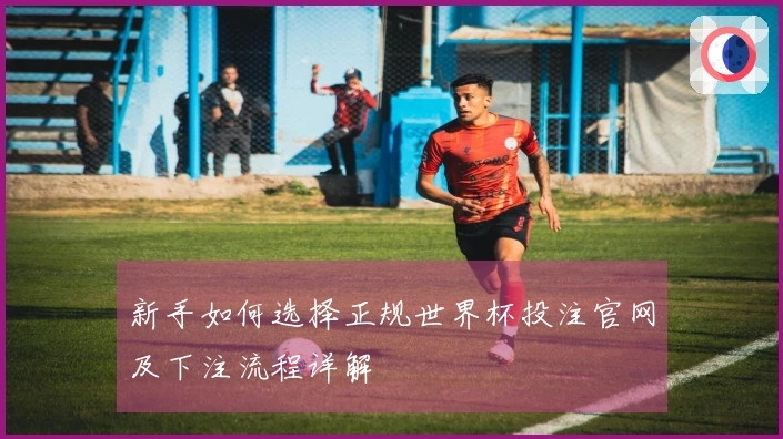 新手如何选择正规世界杯投注官网及下注流程详解