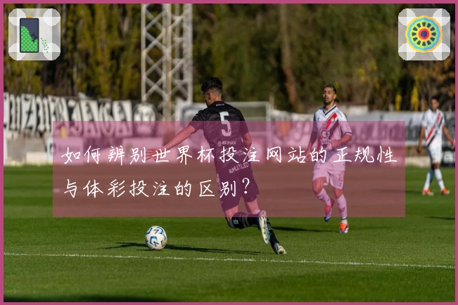 如何辨别世界杯投注网站的正规性与体彩投注的区别?