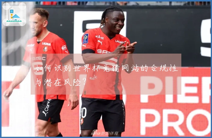 如何识别世界杯竞猜网站的合规性与潜在风险？