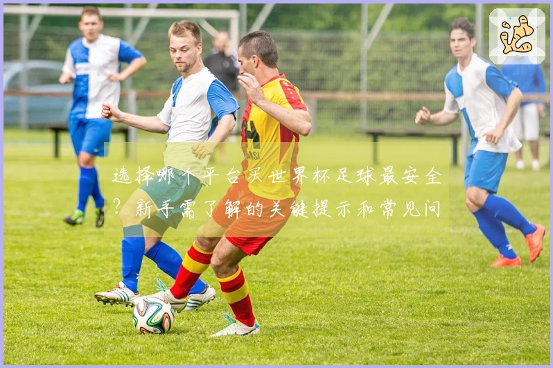 选择哪个平台买世界杯足球最安全?新手需了解的关键提示和常见问题解答