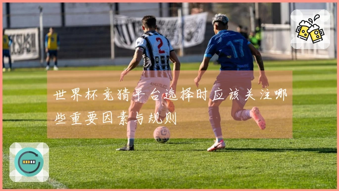 世界杯竞猜平台选择时应该关注哪些重要因素与规则