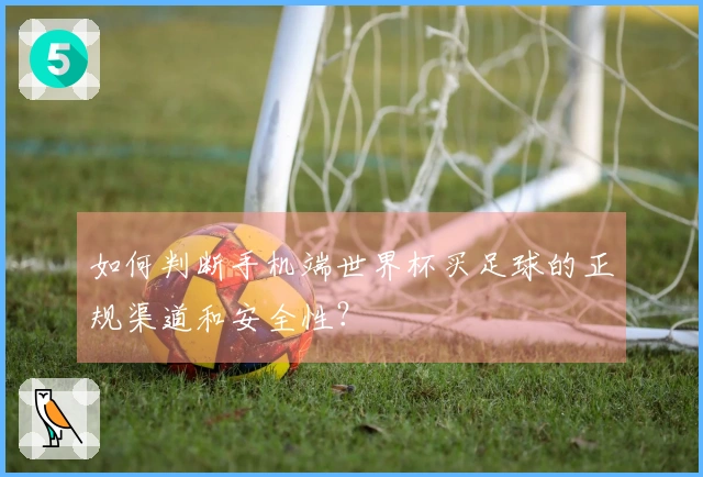 如何判断手机端世界杯买足球的正规渠道和安全性?