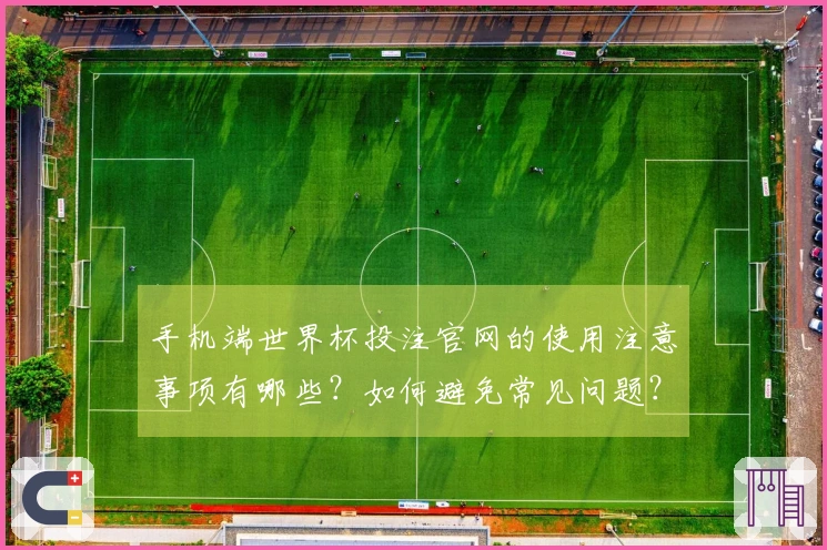 手机端世界杯投注官网的使用注意事项有哪些？如何避免常见问题？