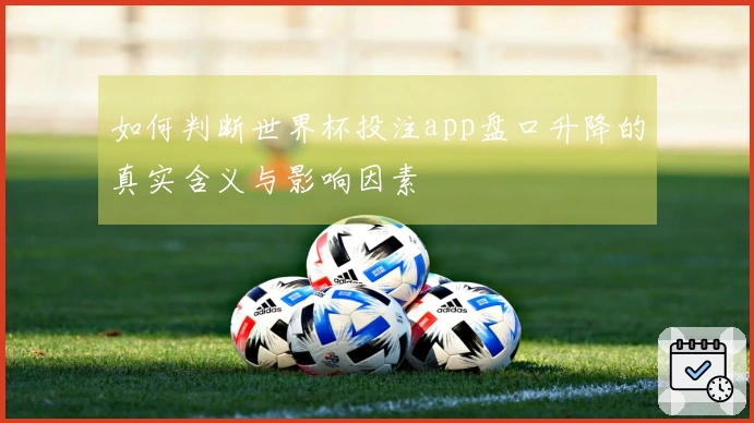 如何判断世界杯投注app盘口升降的真实含义与影响因素